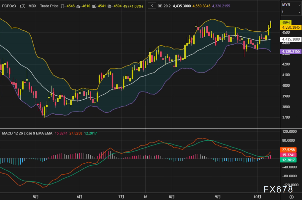 棕榈油市场强势突破，印尼生物柴油政策与连盘油脂共振推升价格(图2)