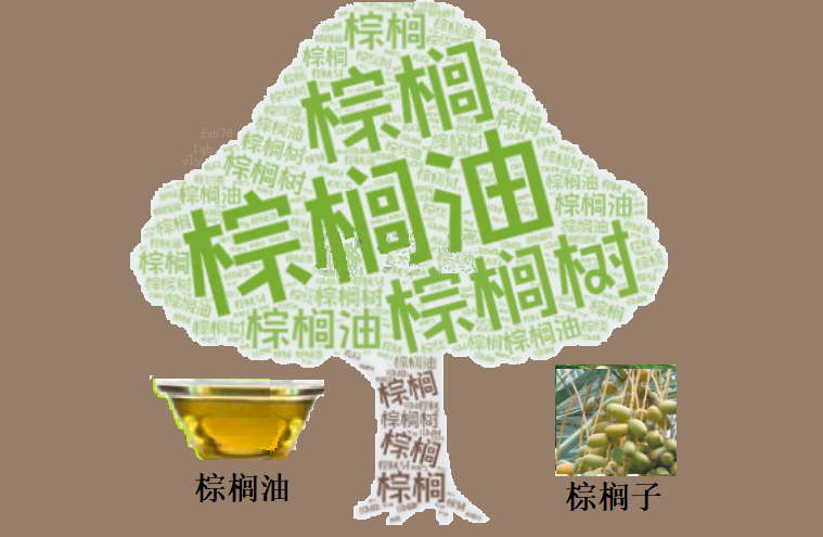 棕榈油出口下滑，4000关口支撑面临考验(图1)